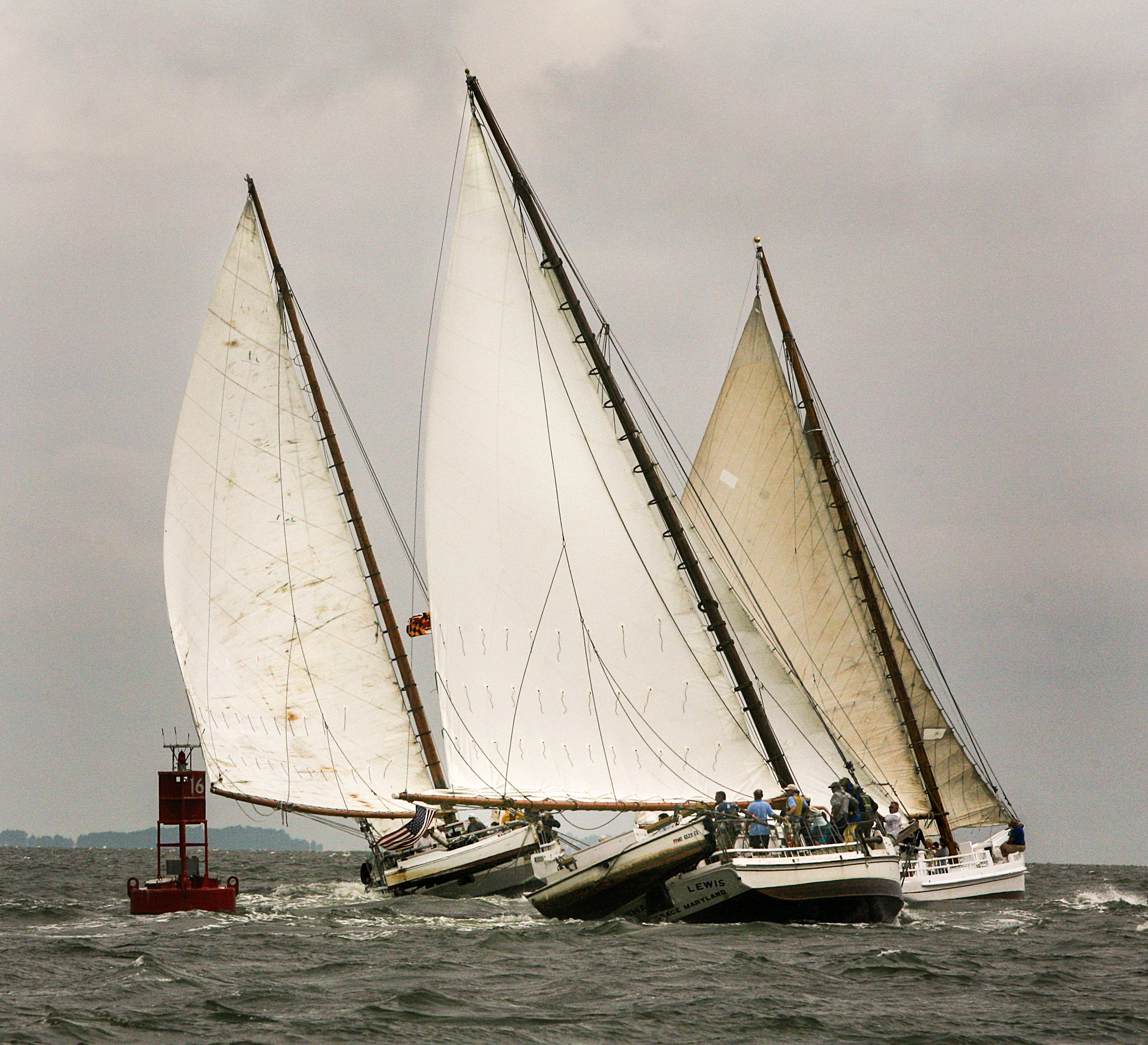 Sailboats racing on the Chesapeake Bay